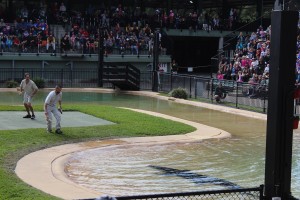 Australien Zoo-059